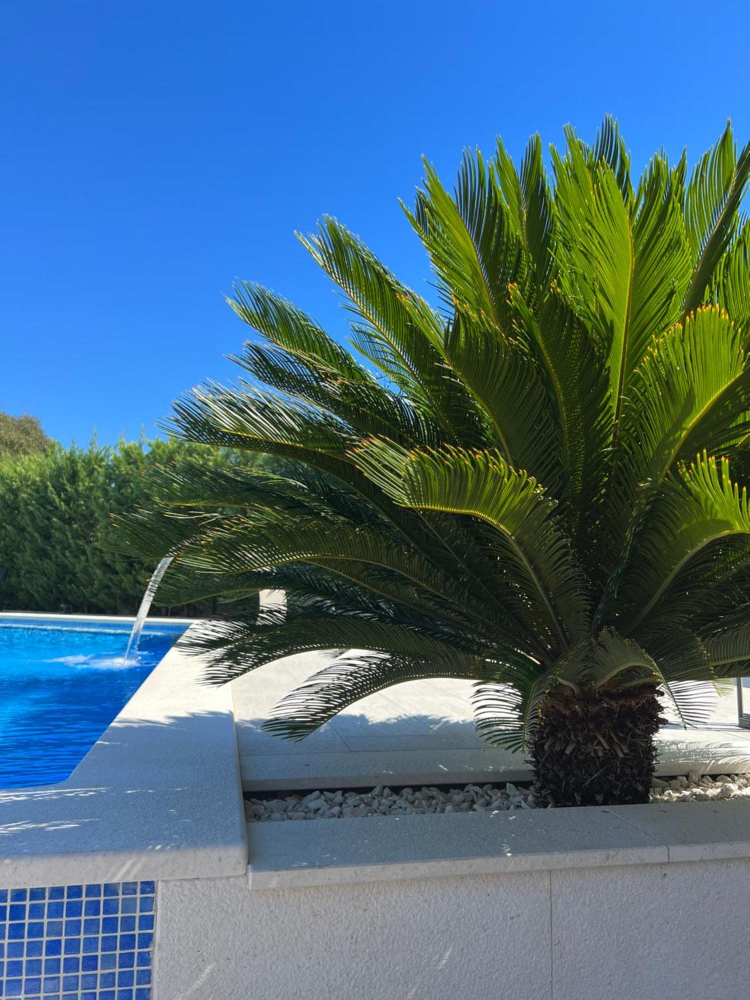 Holiday Luxury Resort Sundance Τρογκίρ Εξωτερικό φωτογραφία